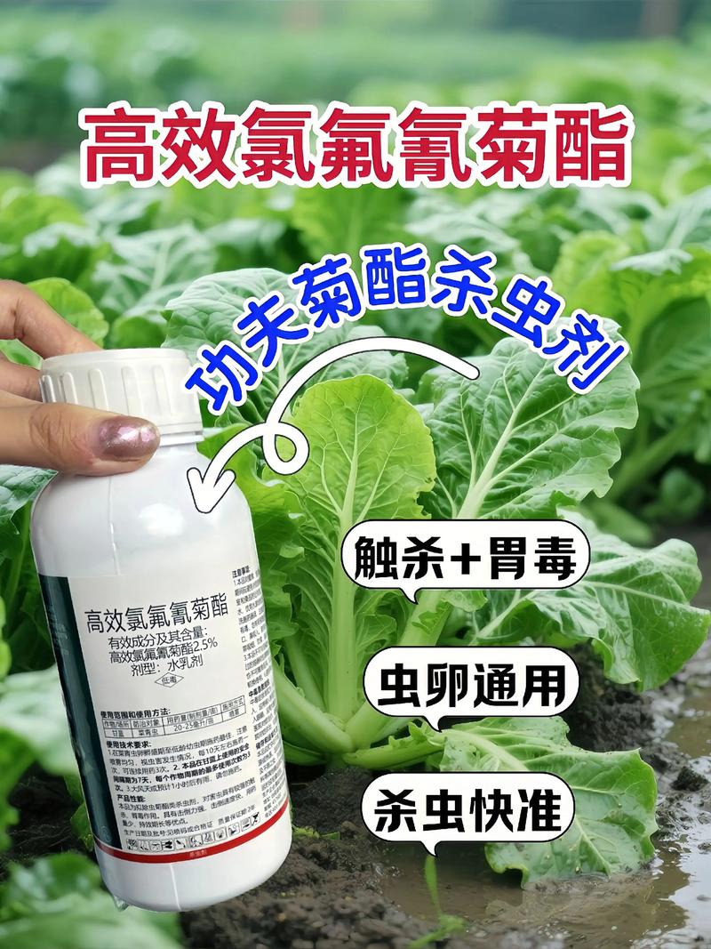 石嘴山代生中心:农药对供卵代生妈妈的危害